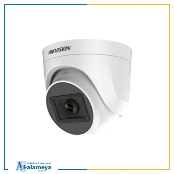 Dome Surveillance Cameras